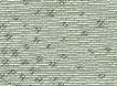WX208