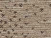 WX219