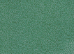 ̳