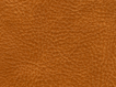 S-C1005