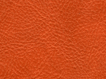 S-C1007