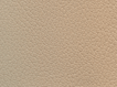 W-A1081