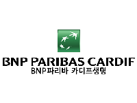 BNPĸī
