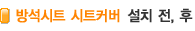 ġ,